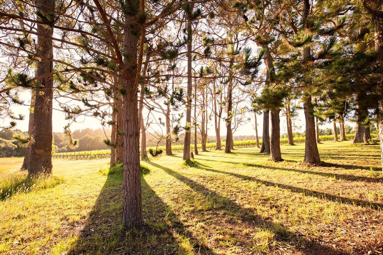 Ruse Estate Retreat Margaret River Rosa Glen Екстер'єр фото