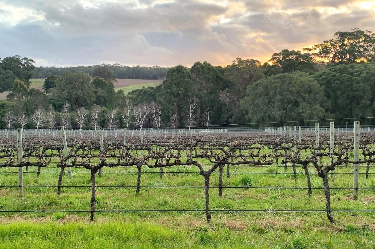 Ruse Estate Retreat Margaret River Rosa Glen Екстер'єр фото